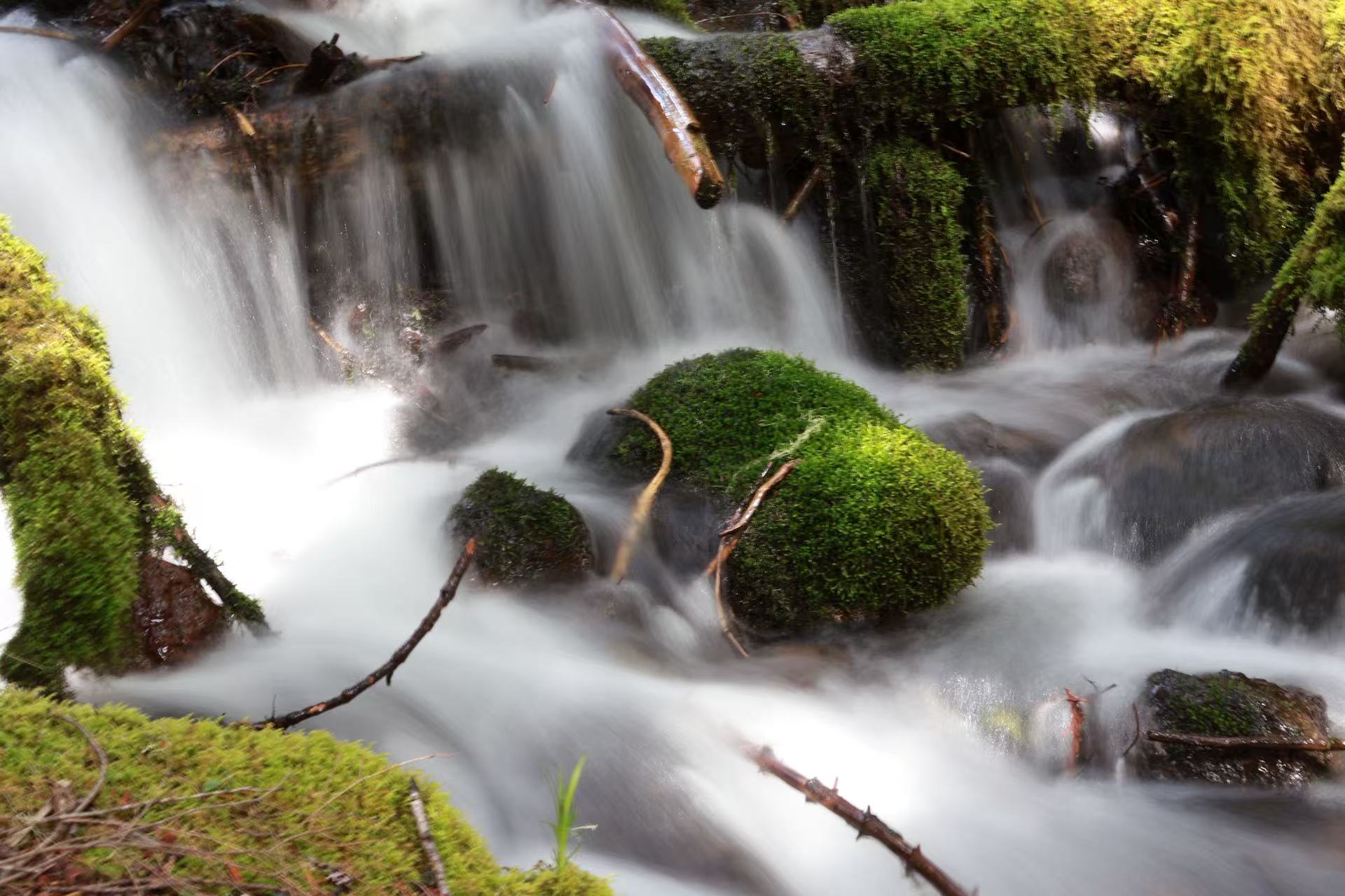 Photography, music, and interests of Deshuai Ren